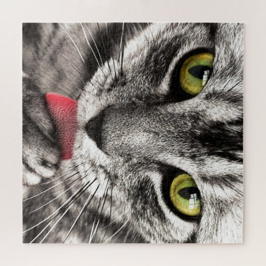 Tabby Cat Washing Face Puzzle (Horizontal)