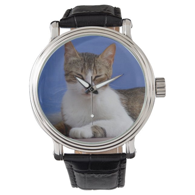 Tabby Cat Watch Armbanduhr (Vorderseite)