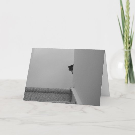 Tabby Cat - Watching, Karte (Vorderseite)