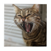 Tabby Cat Yawning Artistic Portrait Fliese (Vorderseite)