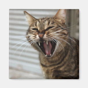 Tabby Cat Yawning Artistic Portrait Magnet