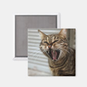 Tabby Cat Yawning Artistic Portrait Magnet (Vorderseite/Rückseite)