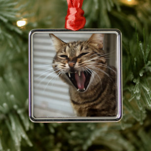 Tabby Cat Yawning Artistic Portrait Ornament Aus Metall