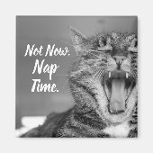 Tabby Cat Yawning, nicht jetzt Nickerchen Time Magnet (Vorne)