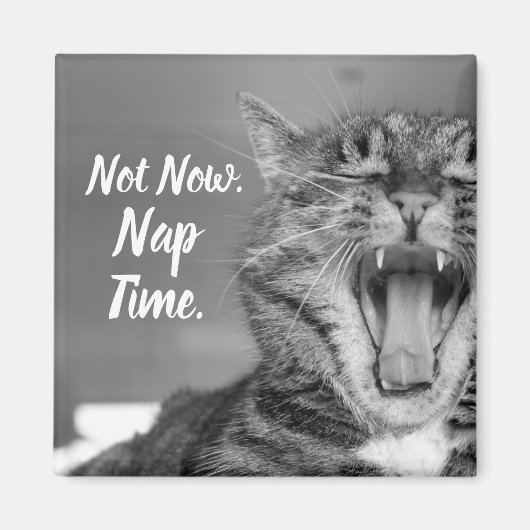 Tabby Cat Yawning, nicht jetzt Nickerchen Time Magnet (Vorne)
