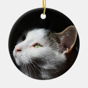 Tabby Cat Zierde Keramikornament
