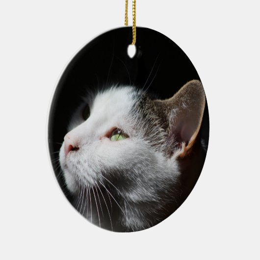 Tabby Cat-Zierwerk Keramikornament (Rechts)