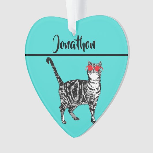 Tabby Cats 'One Cool Cat' Aqua Boys Mens Ornament (Vorderseite)