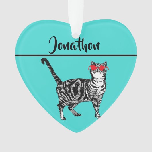 Tabby Cats 'One Cool Cat' Aqua Boys Mens Ornament (Vorderseite)