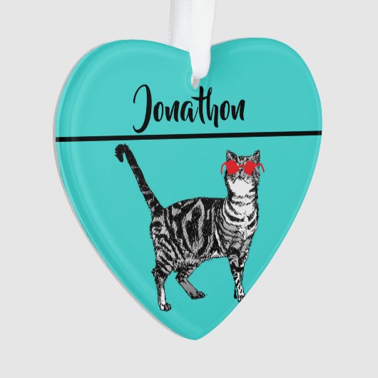 Tabby Cats 'One Cool Cat' Aqua Boys Mens Ornament (Vorderseite)