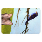 Tabby Cats Sprechen mit Vögeln Magnet (Horizontal)