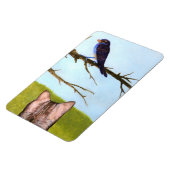 Tabby Cats Sprechen mit Vögeln Magnet (Linke Seite)