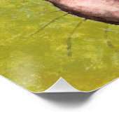 Tabby Cats Sprechen mit Vögeln Poster (Ecke)