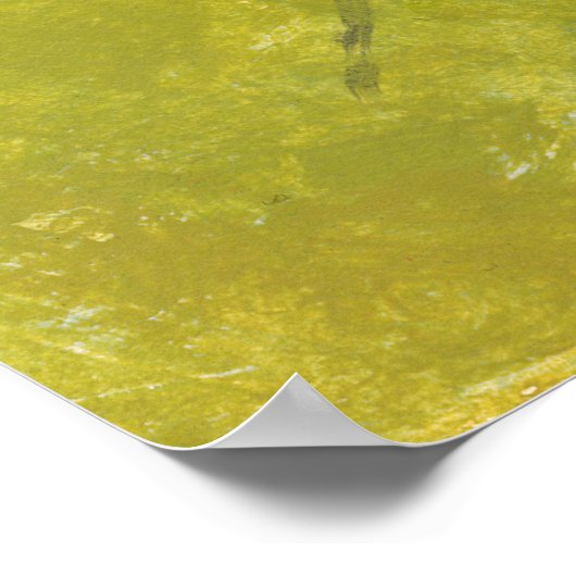 Tabby Cats Sprechen mit Vögeln Poster (Ecke)