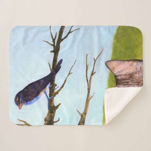 Tabby Cats Sprechen mit Vögeln Sherpadecke (Vorderseite (Horizontal))