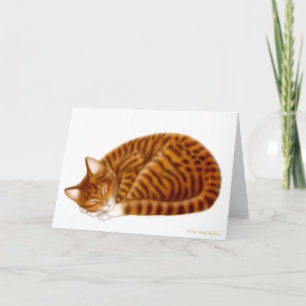 Tabby-Chat-Karte Karte