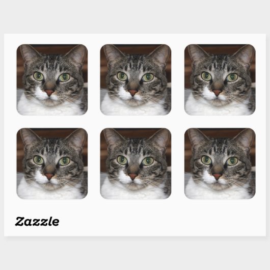 Tabby Chat Sehen Sie sich Ihr Foto an Quadratischer Aufkleber (Blatt)