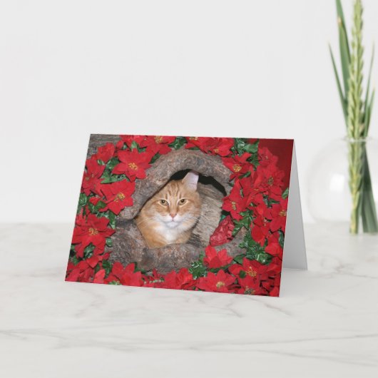 Tabby Christmas Feiertagskarte (Vorderseite)