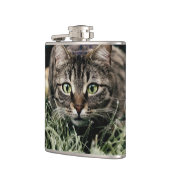 Tabby der Hauskatze Flachmann (Links)