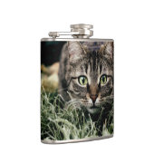 Tabby der Hauskatze Flachmann (Rechts)
