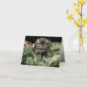 Tabby der Hauskatze Karte (Gelbe Blume)