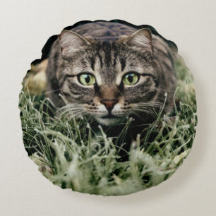 Tabby der Hauskatze Rundes Kissen