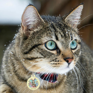 Tabby Fairy Cat Mushroom Floral Haustiermarke