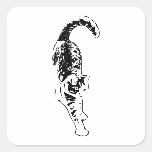 Tabby Flow Sticker (Vorderseite)