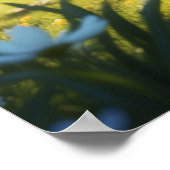 *~* TABBY GARDEN Kitty Cat 5:4 Feline Kitten Poster (Ecke)