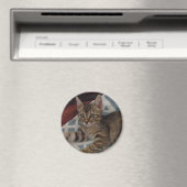 Tabby Girl Kitten Magnet (In Situ (Geschirrspüler))