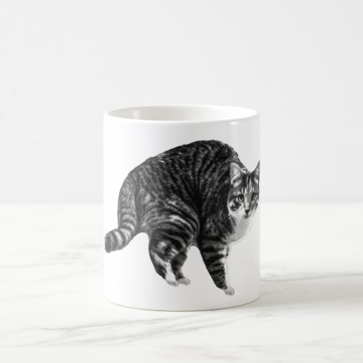Tabby Glow by Winter Window Kaffeetasse (Mittel)