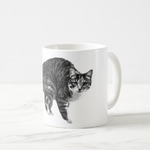 Tabby Glow von Winter Window Kaffeetasse