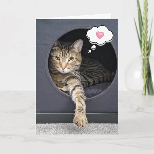 Tabby Kat in Box zum Nachdenken Karte (Vorderseite)