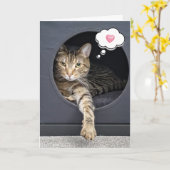 Tabby Kat in Box zum Nachdenken Karte (Gelbe Blume)