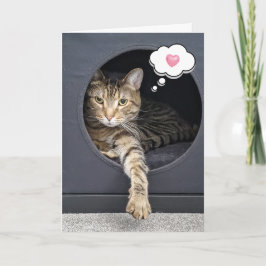 Tabby Kat in Box zum Nachdenken Karte