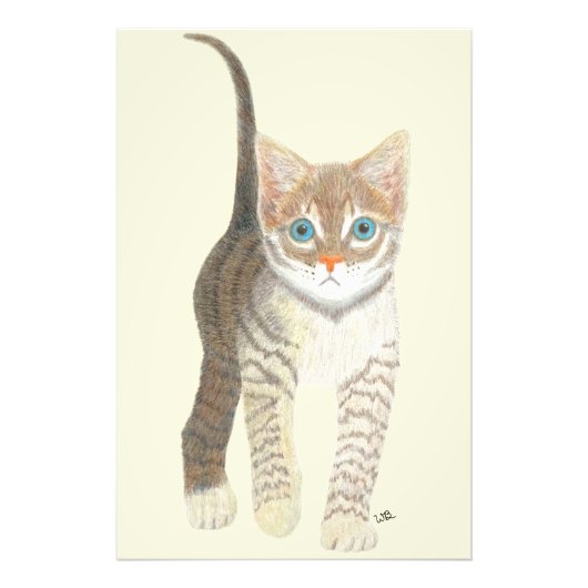 Tabby-Kätzchen 24x36 Poster (Vorne)