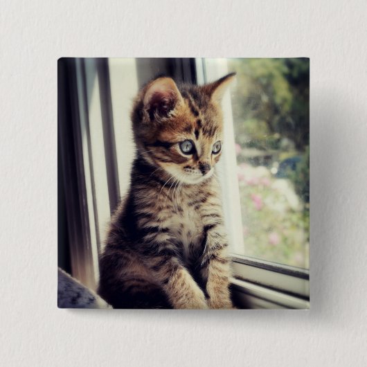 Tabby-Kätzchen-Aufpassen Button (Vorderseite)