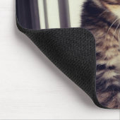 Tabby-Kätzchen-Aufpassen Mousepad (Ecke)