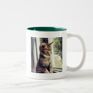 Tabby-Kätzchen-Aufpassen Zweifarbige Tasse