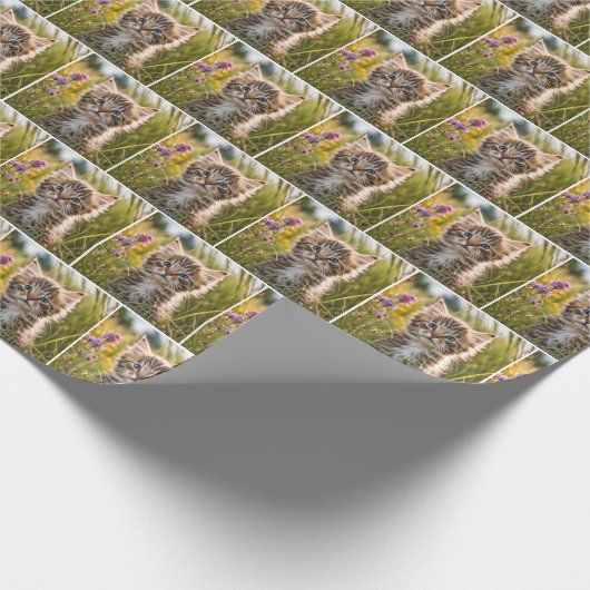 Tabby Kätzchen im Sommer Wiese Geschenkpapier (Ecke)