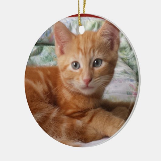 Tabby-Kätzchen Keramikornament (Links)