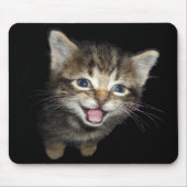 Tabby-Kätzchen-Mausunterlage Mousepad (Vorne)