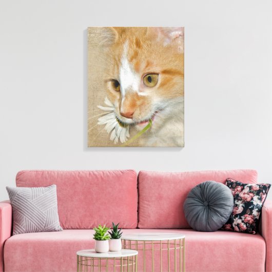 Tabby Kätzchen mit Daisy Leinwanddruck (Insitu (Wohnzimmer))