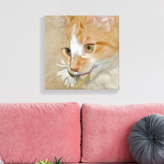 Tabby Kätzchen mit Daisy Leinwanddruck (Insitu (Wohnzimmer))
