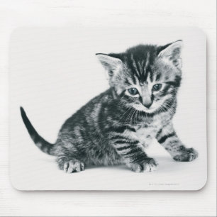 Tabby-Kätzchen Mousepad