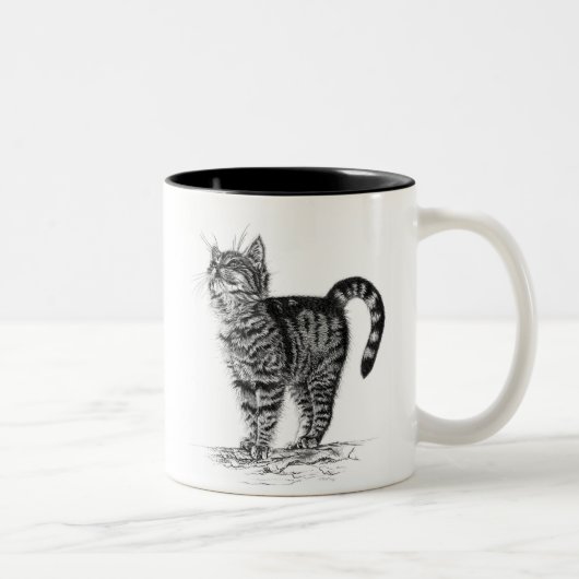 Tabby-Kätzchen-Tasse Zweifarbige Tasse (Rechts)