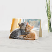 Tabby-Kätzchen Valentinstagskarte Feiertagskarte (Rückseite)