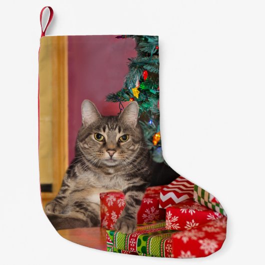 Tabby-Kätzchen Weihnachten Kleiner Weihnachtsstrumpf (Vorderseite)