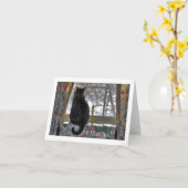 Tabby-Katze an Snowy-Fenster Karte (Gelbe Blume)