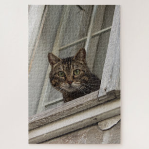 Tabby-Katze beobachtet Sie vom Fenster aus Puzzle